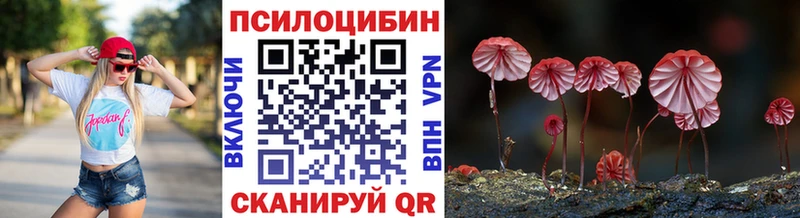 где купить наркотик  Гуково  Псилоцибиновые грибы ЛСД 